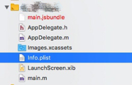 info_plist文件